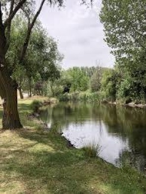 Entorno